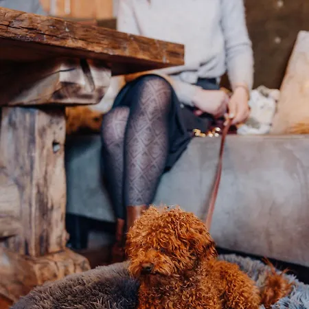 Gluecksschmiede - Hinterglemm מלון 4*