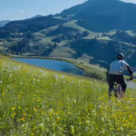 Hotel Dorfhotel Glücksschmiede 4*